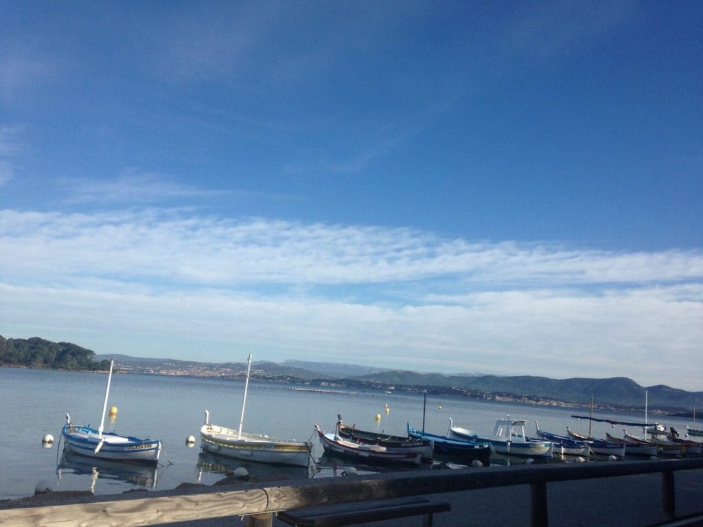 barques-alignees-scaled