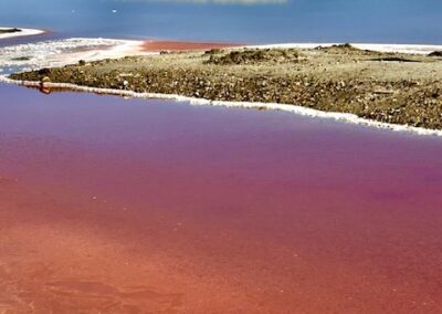 La Camargue de toutes les couleurs. Excursion avec Belle Provence Minibus Deluxe