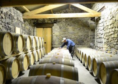 Dégustation de vin en Camargue