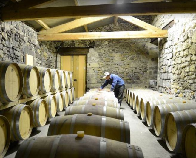 Dégustation de vin en Camargue