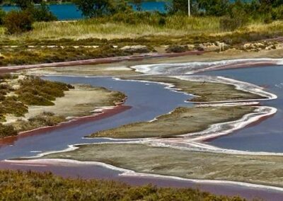 Wetland Camargue.